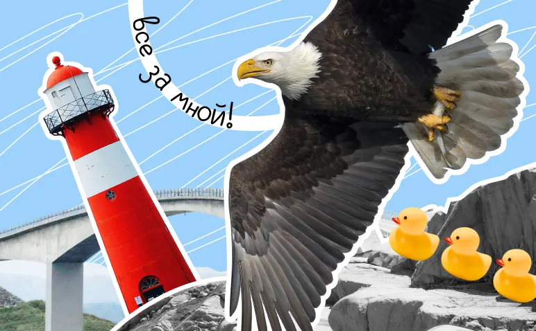 Лидер: кто он такой, какими качествами обладает и как им стать