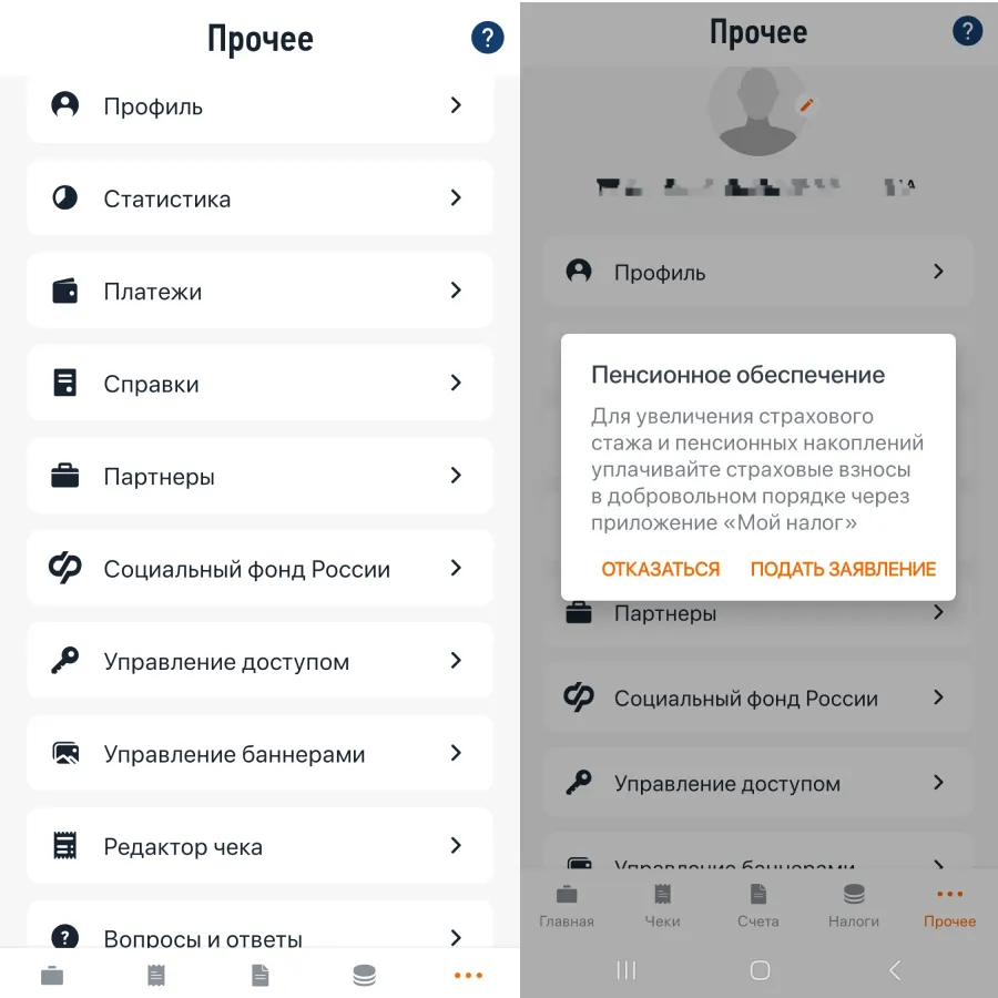 Подать заявление также можно через вкладку «Прочее». Откройте ее и перейдите в раздел «Социальный фонд России»