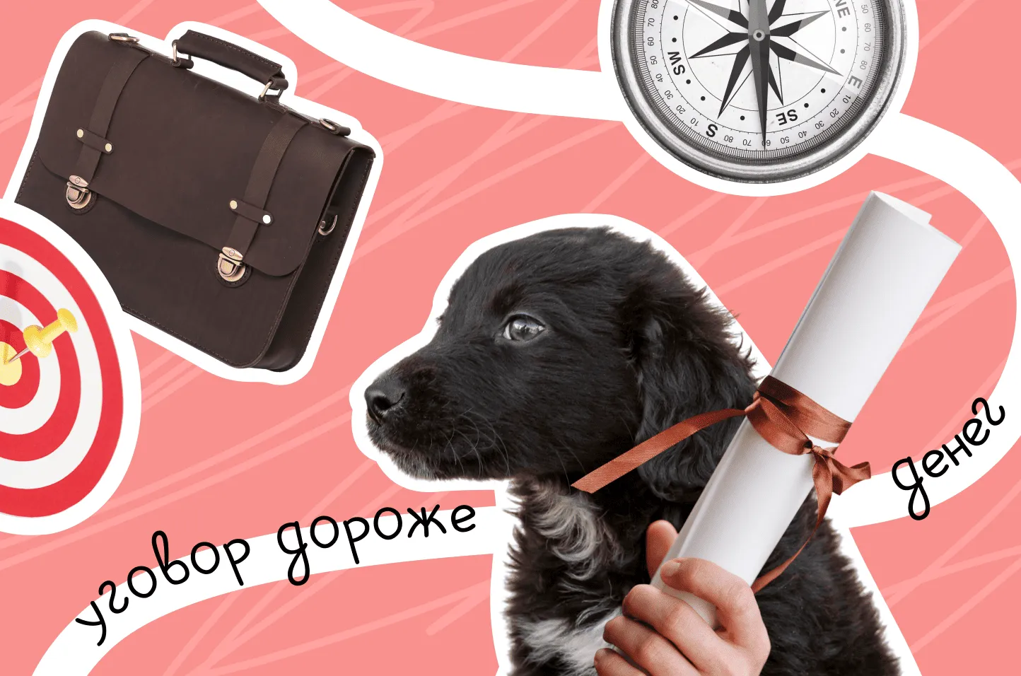 Целевое обучение 2026: где искать заказчика, как подать заявку и что будет за исключение