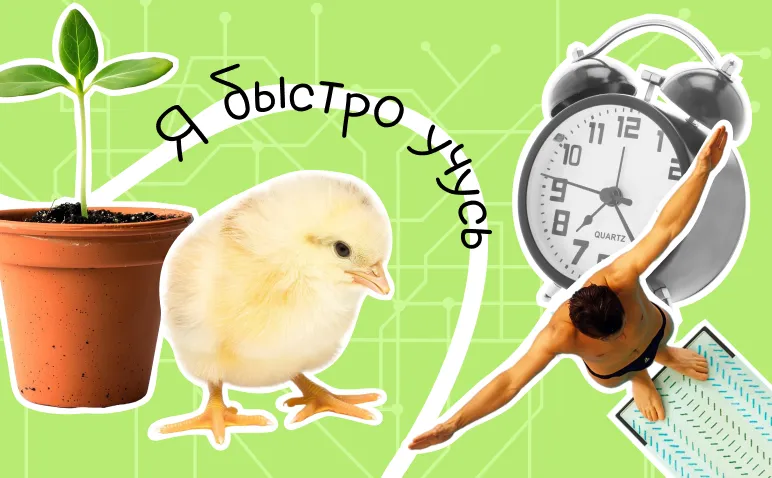 Работа без опыта после университета: где искать и с чего начать