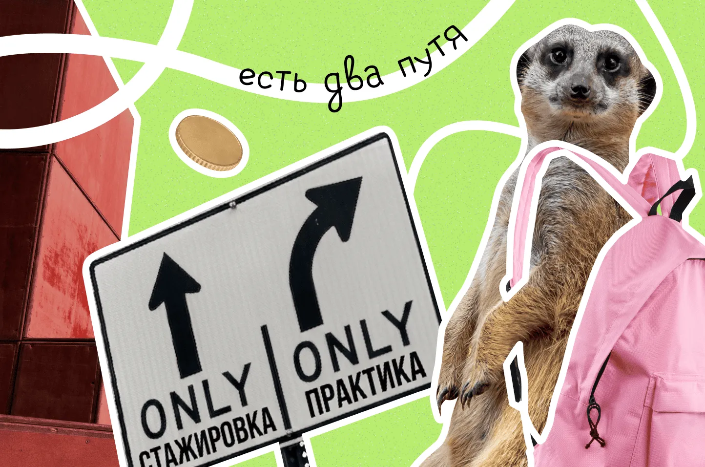 Стажировка и практика: в чем разница и что выбрать на старте карьеры